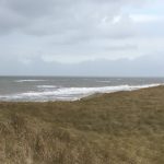 IMG_4400